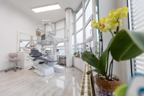 Gallery - O nama | 4